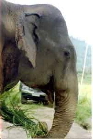 Proximity to Anderton Boat Lift