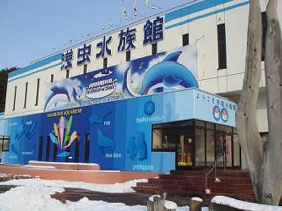 Vibrant Coral Reef Tunnel