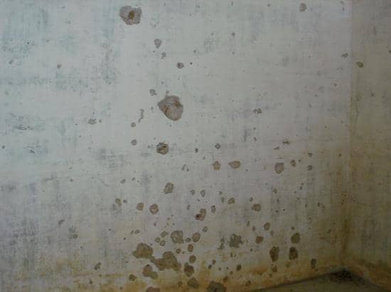 The Fortress Tunnels