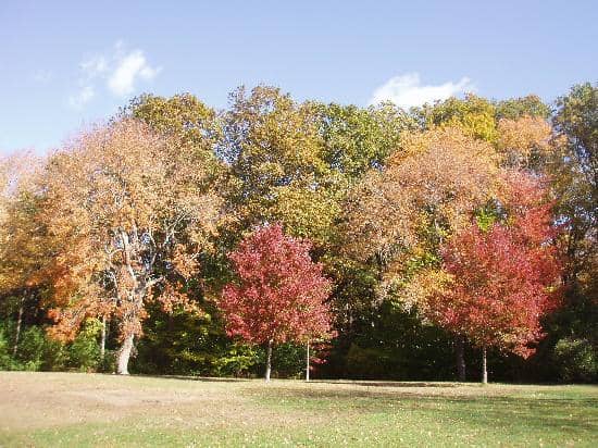 Playgrounds & Open Spaces