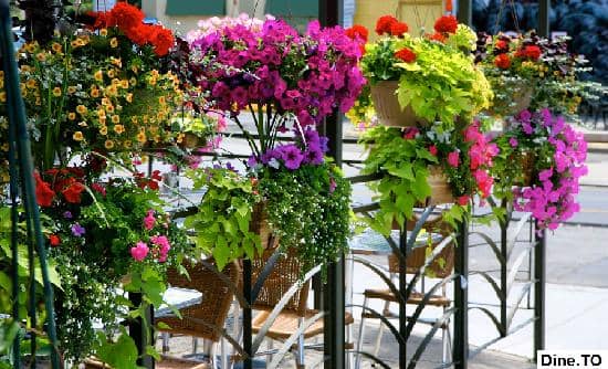 Exceptional Service and Atmosphere