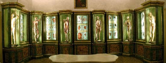 The Old-Timey Library