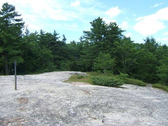 Diverse Trail Network