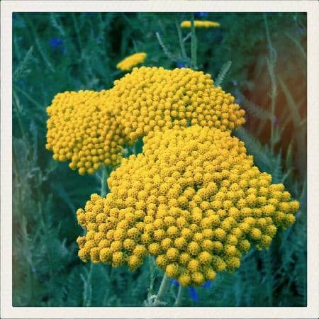 Whimsical Umbrella Display