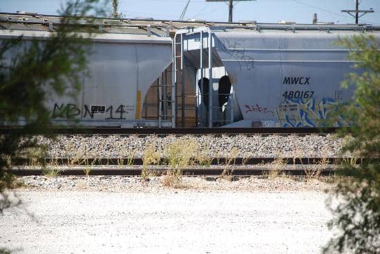 Interactive Exhibits