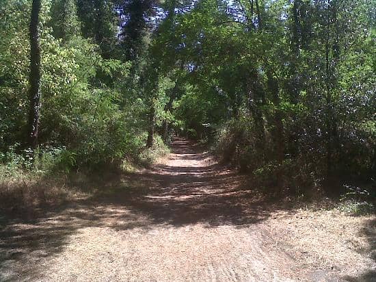 Shaded Walking Trails