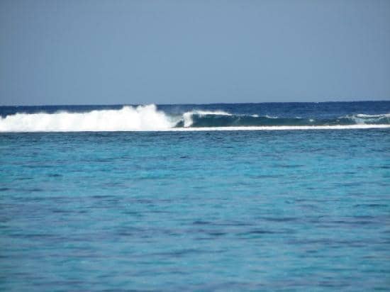 Aquatic Nature Trail