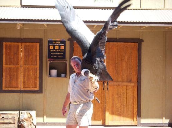 Grand Canyon: The IMAX Experience