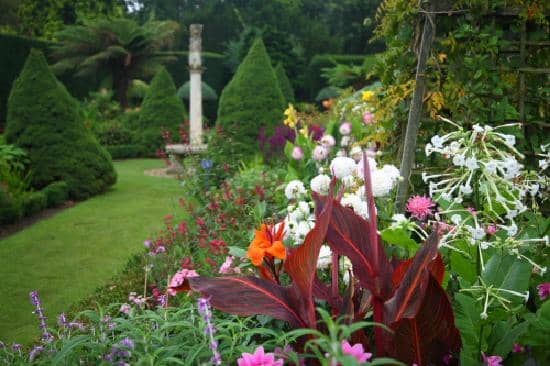 World-Famous Rhododendrons & Azaleas