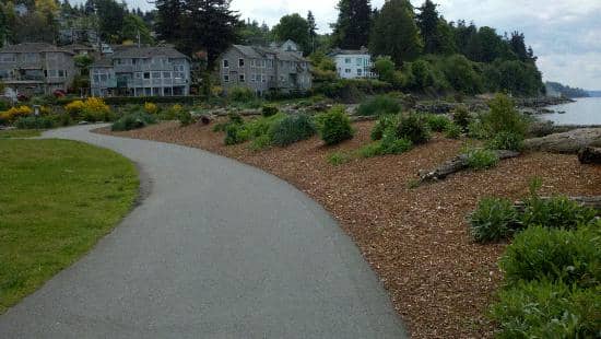 Beachcombing & Fire Pits