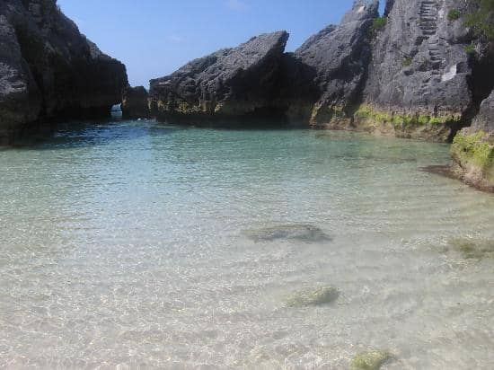 Jobson's Cove