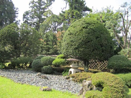 Serene Japanese Garden