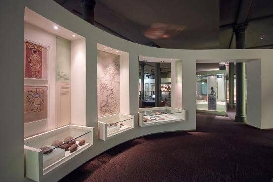 Mammals of the World