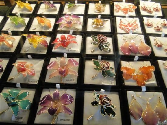 Butterfly Enclosure