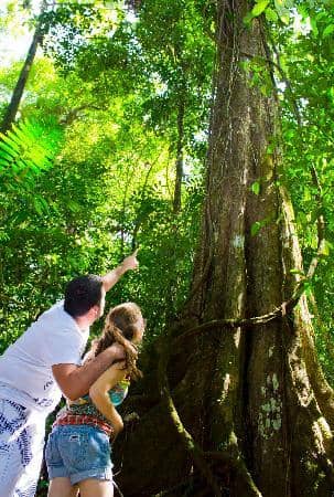 Sky Tram Aerial Tram