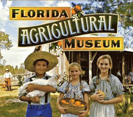 Equestrian Trail Rides