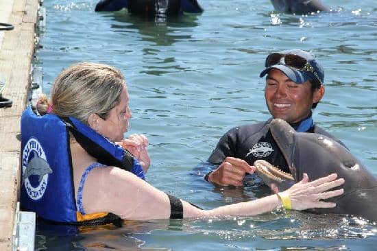 Dolphin Kisses & Hugs