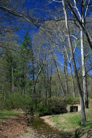 Scenic Overlook