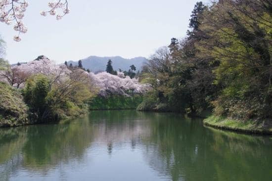 Autumn Foliage Views