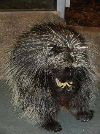 Interactive Exhibits