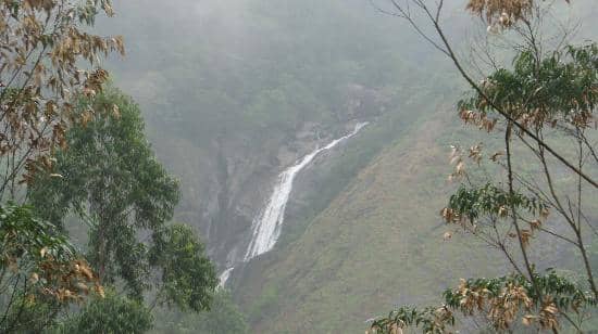 Tea Stall Vista
