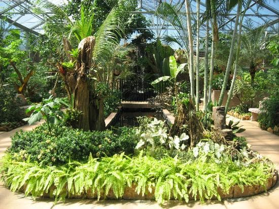 Inside Conservatory
