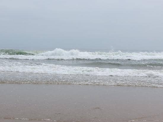 Vibrant Open-Air Market