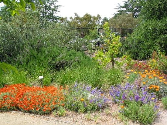 Sculpture and Art Gardens