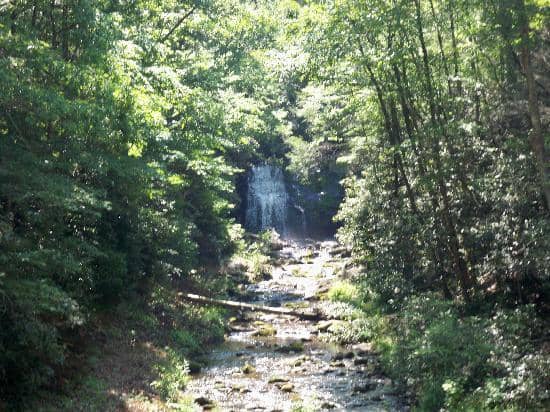 The Chimney Tops Trail