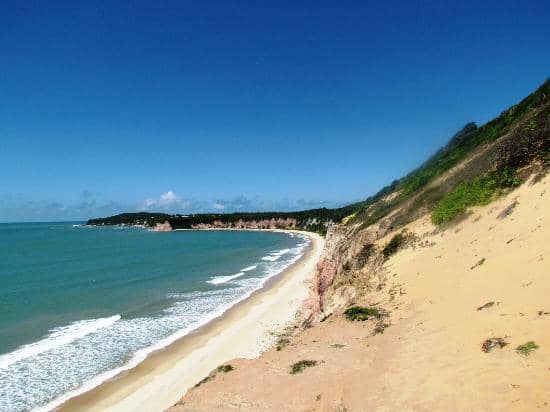 Projeto Tamar Museum