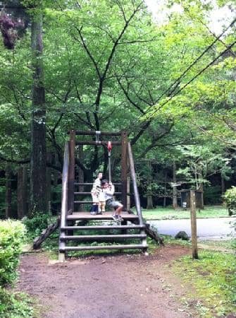 Autumn Foliage Views