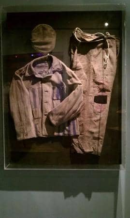 Survivor Testimonies