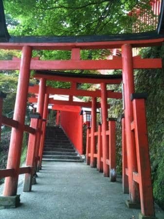 The Grandest Torii Gate
