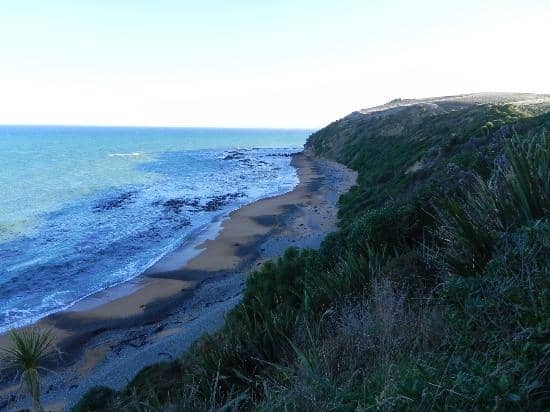 Conservation and Rehabilitation Center