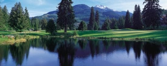 #8. Par 3, 181 yards. "Singing Cedars"