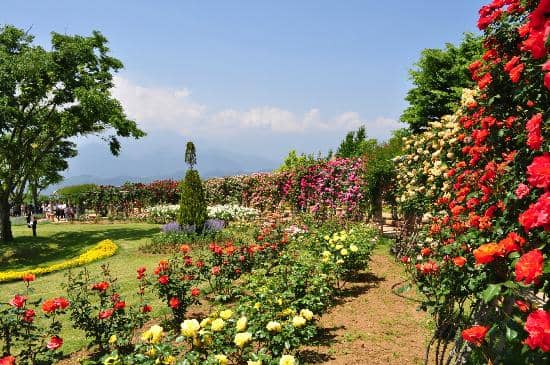 Heidi's Village Post Office
