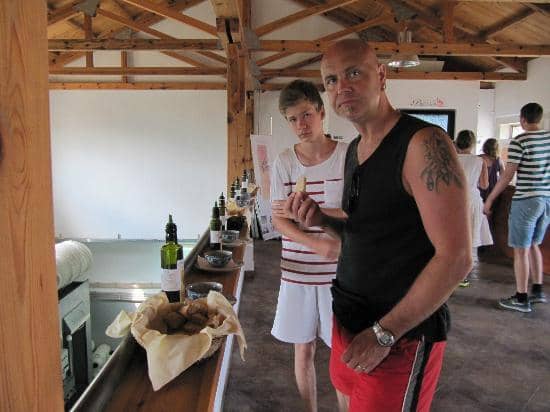 Serene Estate Setting