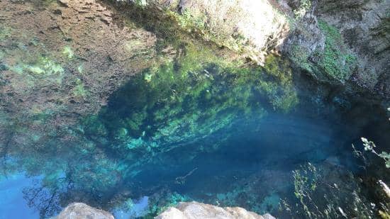 Picnic and Playground Area