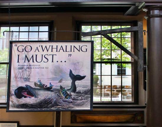 Marine Life Depictions