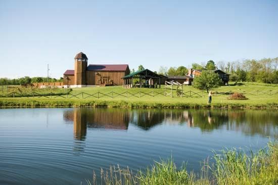A view from the grapes of our barn, pavilion, and pond