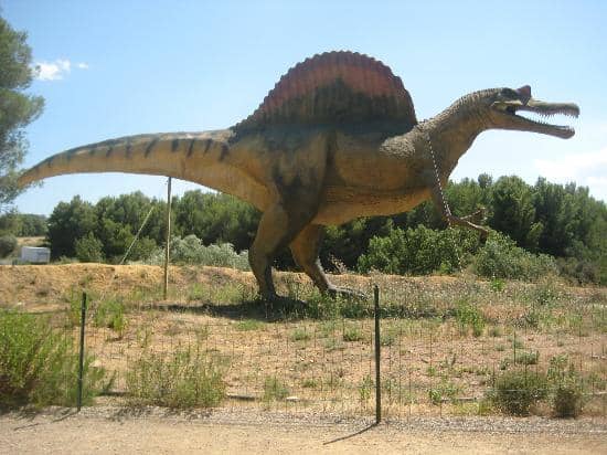 Fossil Displays