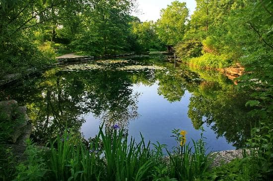 View from Fullerton Ave entrance