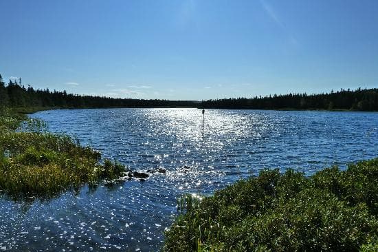 Oxen Pond