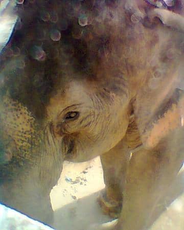 Family-Friendly Waters