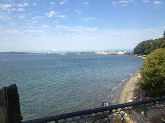 view