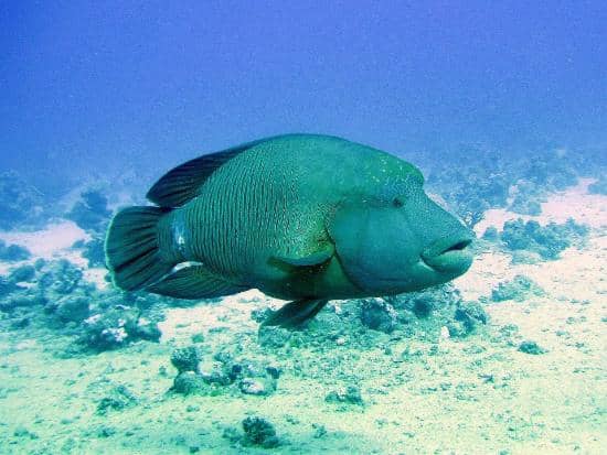 Hidden Macro Treasures