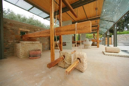 The Museum of the Olive and Greek Olive Oil in Sparta