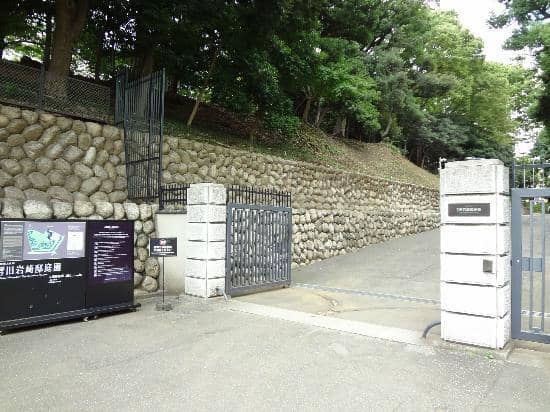 Japanese Traditional House