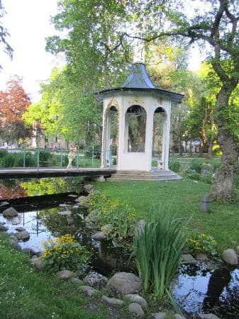 Rose Garden