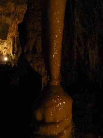 Guided Tour Experience